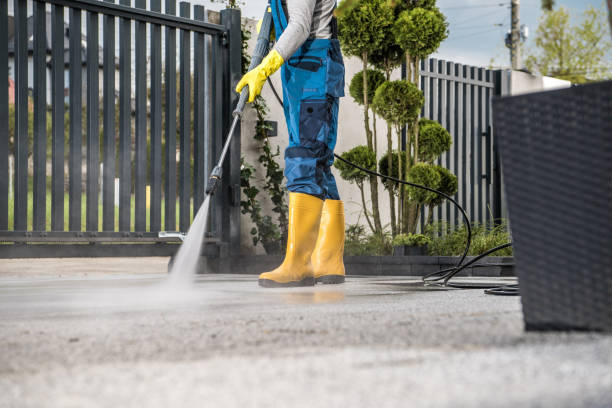 Best Animal Enclosure Cleaning  in Ballville, OH